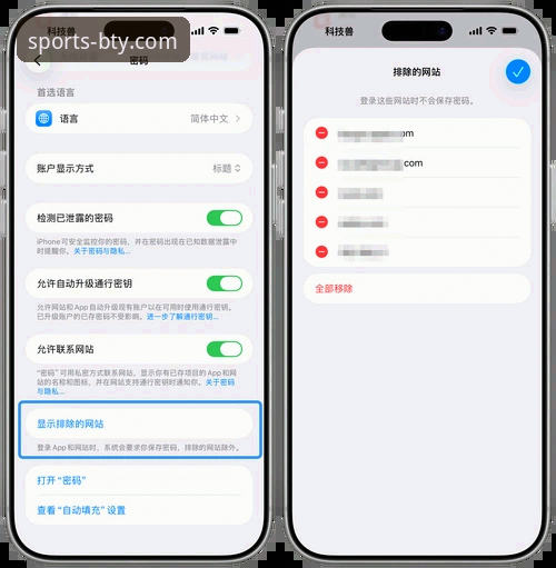 B体育APP iOS版最新版深度揭秘：流畅体验背后的技术革新与用户洞察